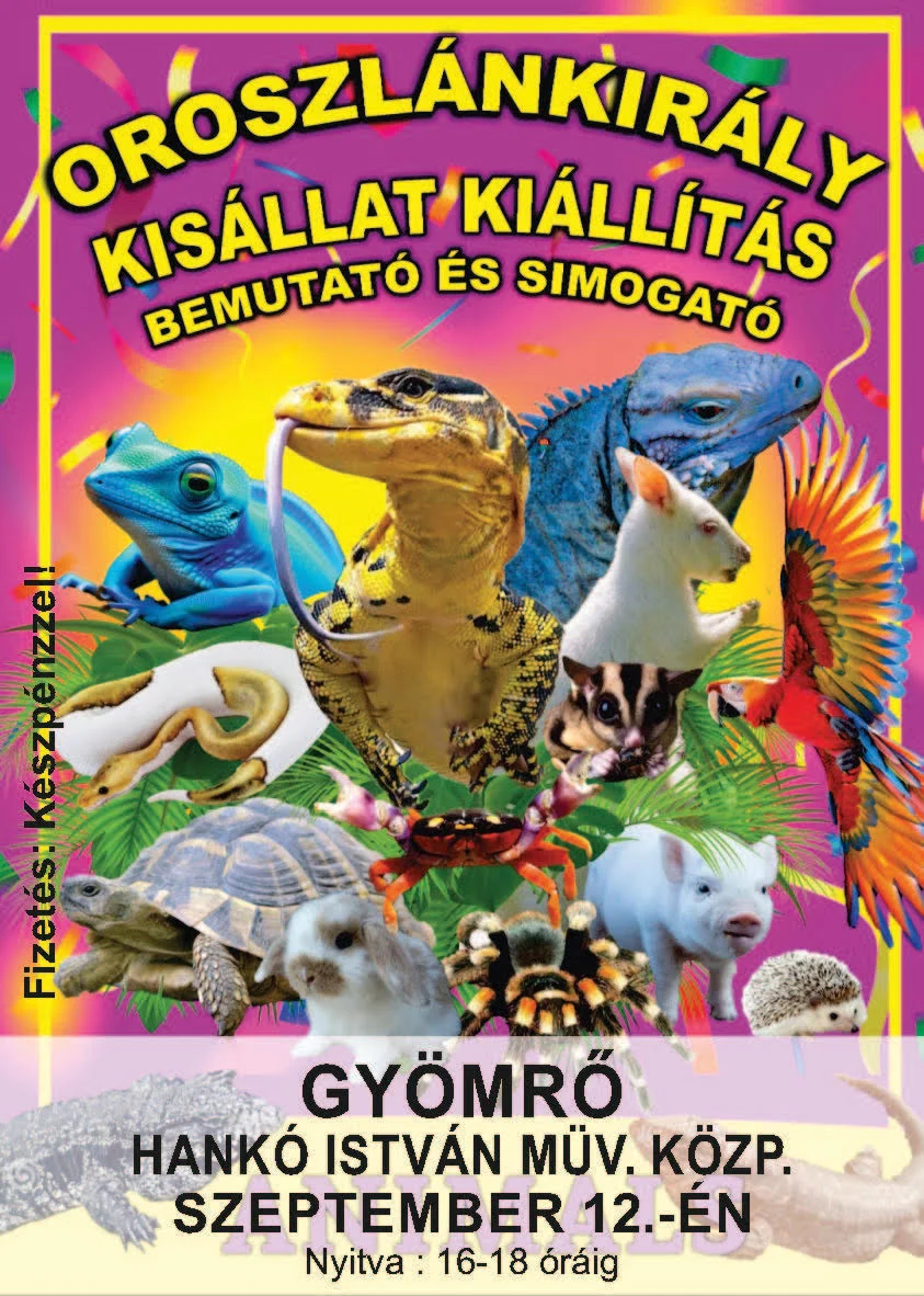 KISÁLLAT KIÁLLÍTÁS